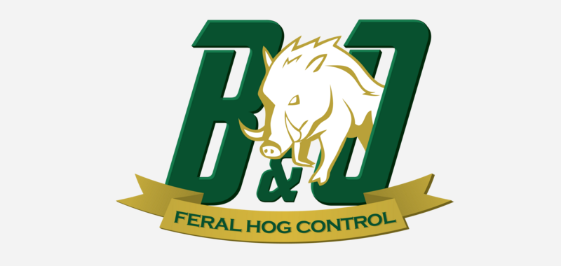 B&O Feral Hog Control