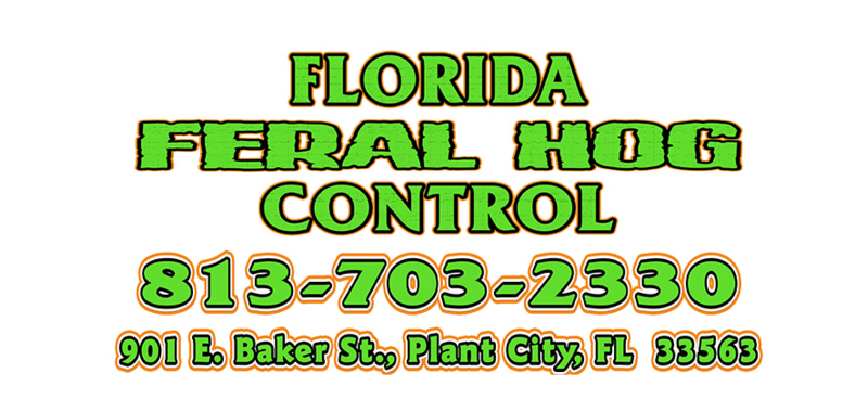 Florida Feral Hog Control