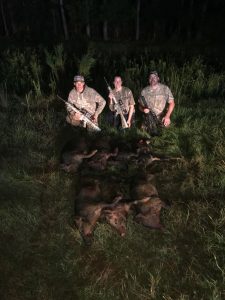 Hog Trapping at Night