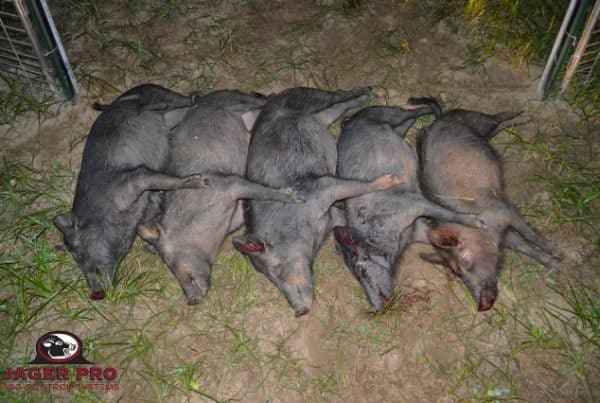 JAGER PRO Hog Trapping
