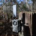 cellular hog trap camera with live video and remote trigger for whole sounder trapping
