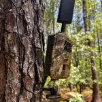 I.C.E.® Camera with tree mount