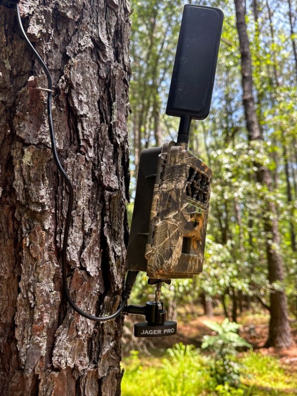I.C.E.® Camera with tree mount