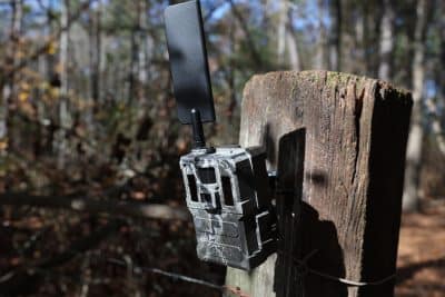 trail camera troubleshooting